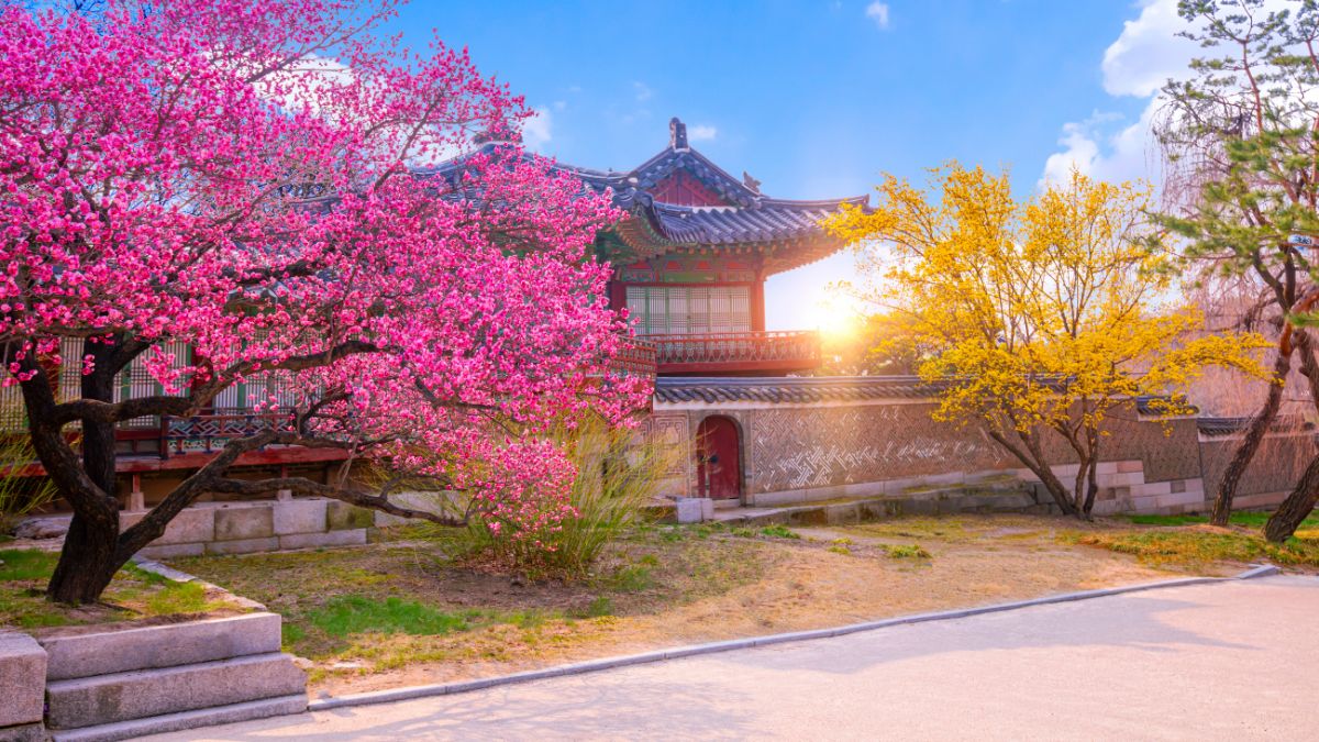 Gyeongbokgung Palota