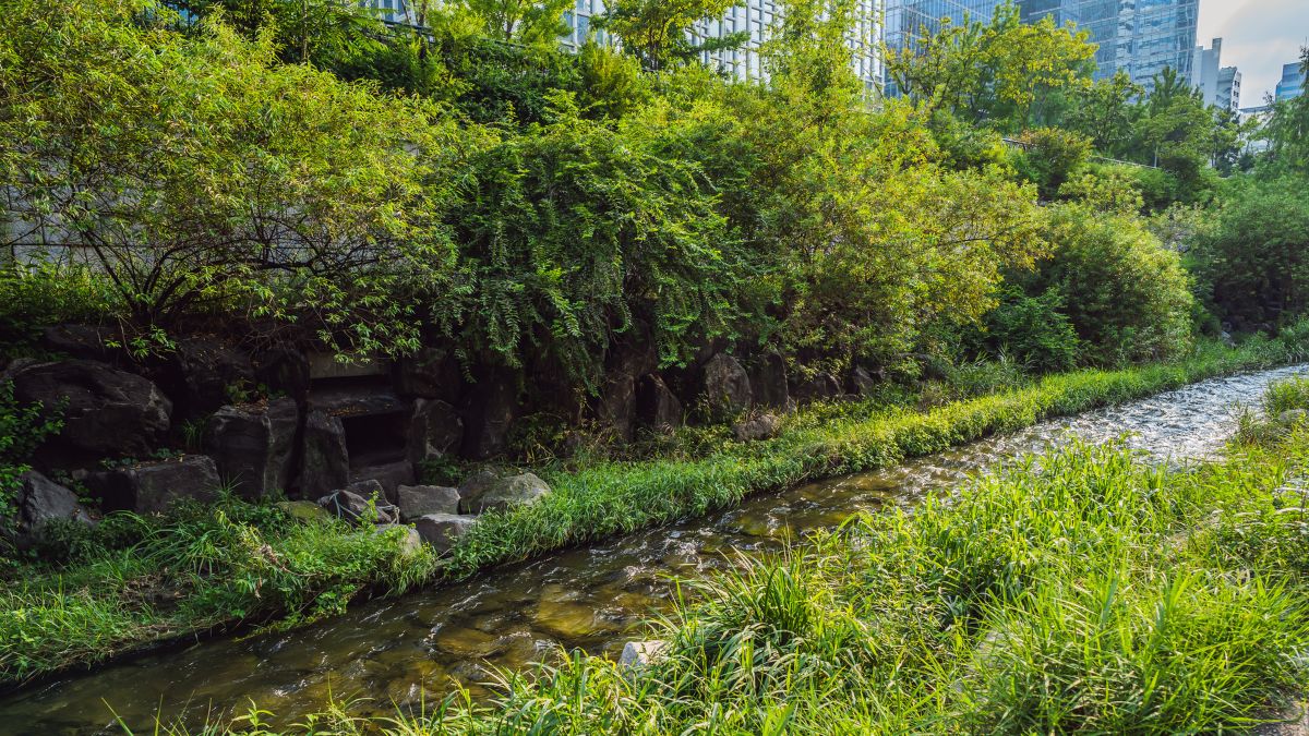 Cheonggyecheon patak