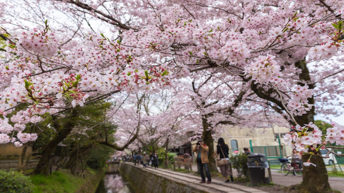 Kiotó - Filozófusok sétánya