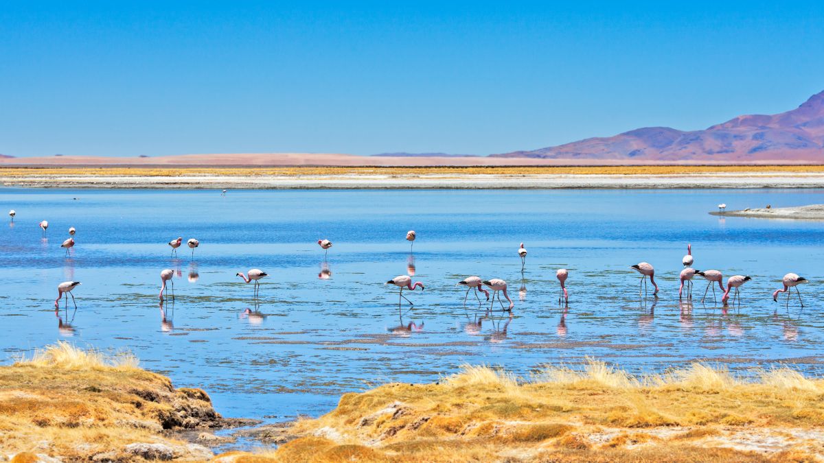 Atacama