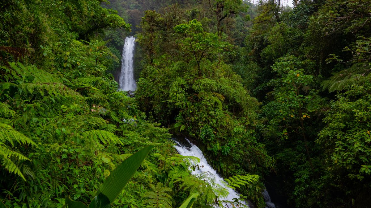 La Paz Waterfall Garden
