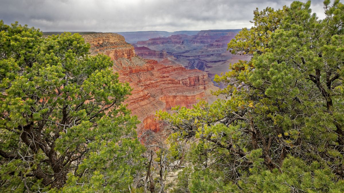 Grand Canyon