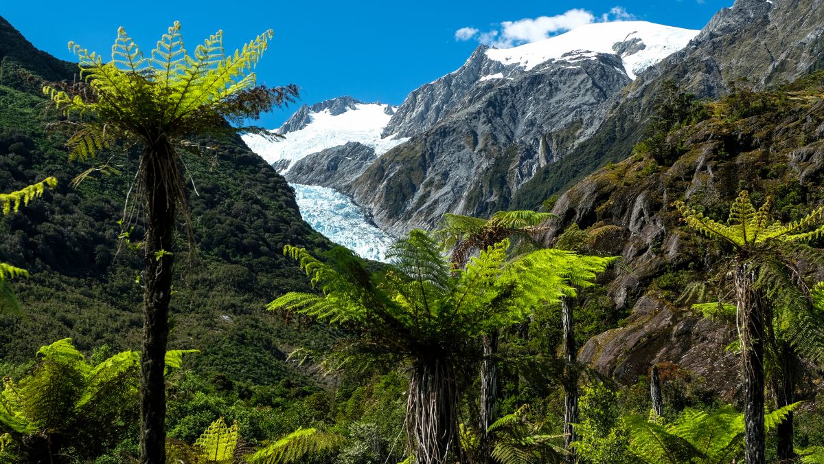 Ferenc József gleccser