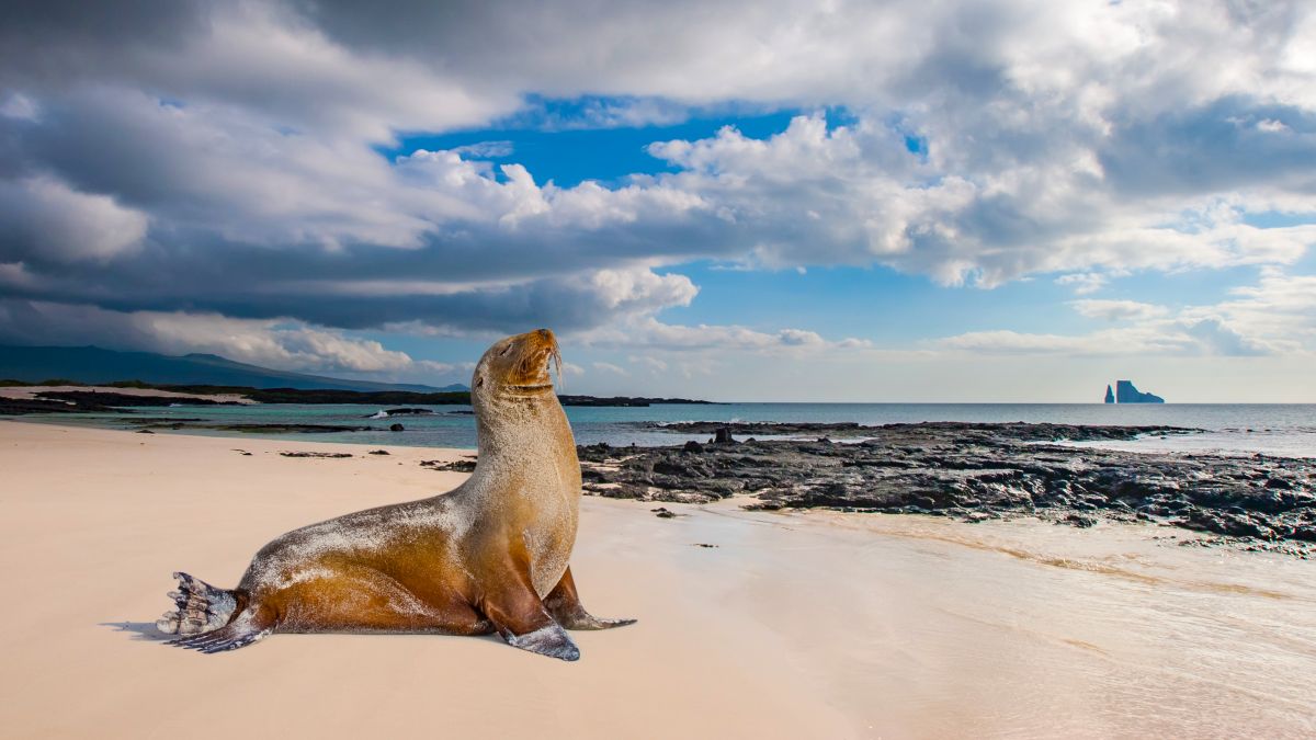 Galápagos világa: San Cristóbal-sziget - OTP Travel Utazási Iroda