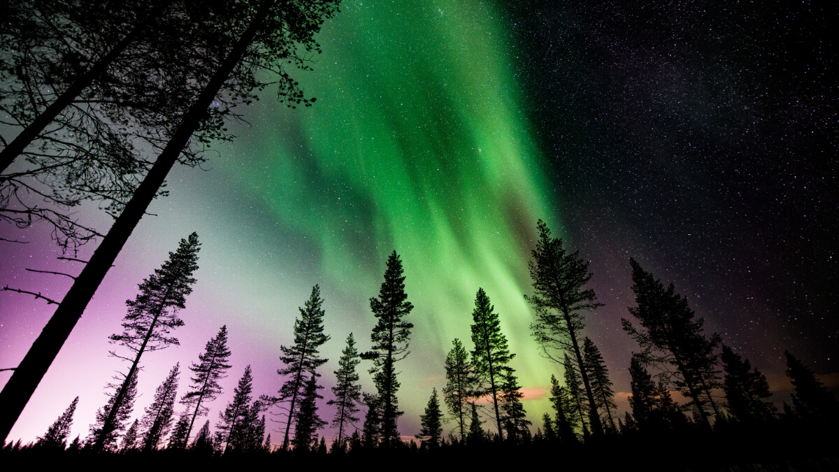 Varázslatos téli Lappföld | Finnország utazás | OTP Travel Utazási Iroda