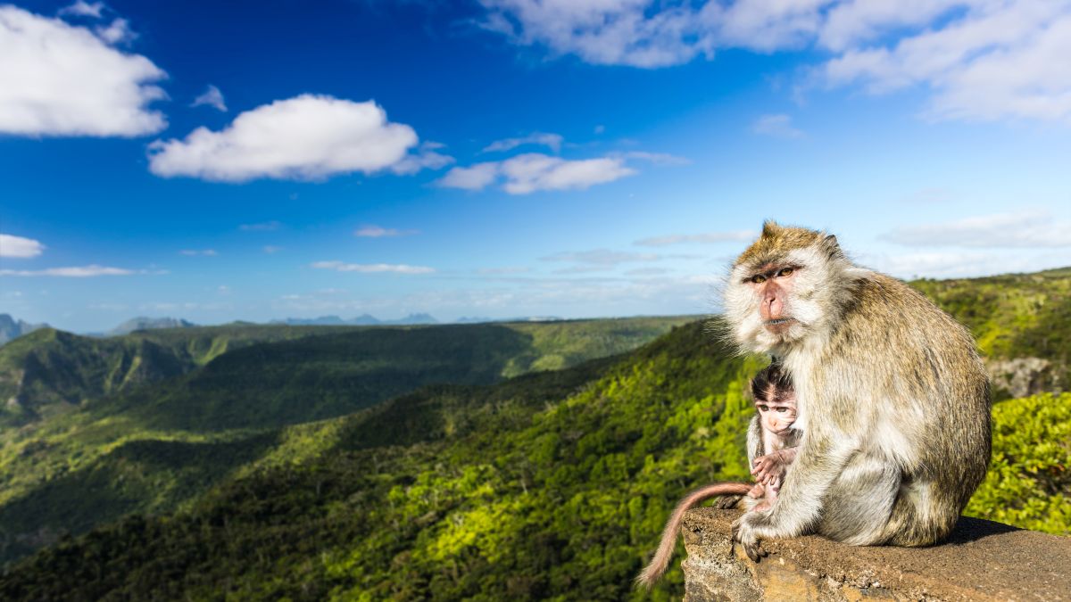 Sokszínű Mauritius - 7 csodaszép látnivaló - OTP Travel Utazási Iroda