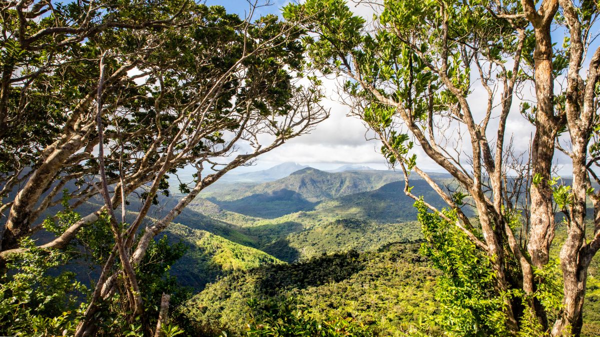 Sokszínű Mauritius - 7 csodaszép látnivaló - OTP Travel Utazási Iroda