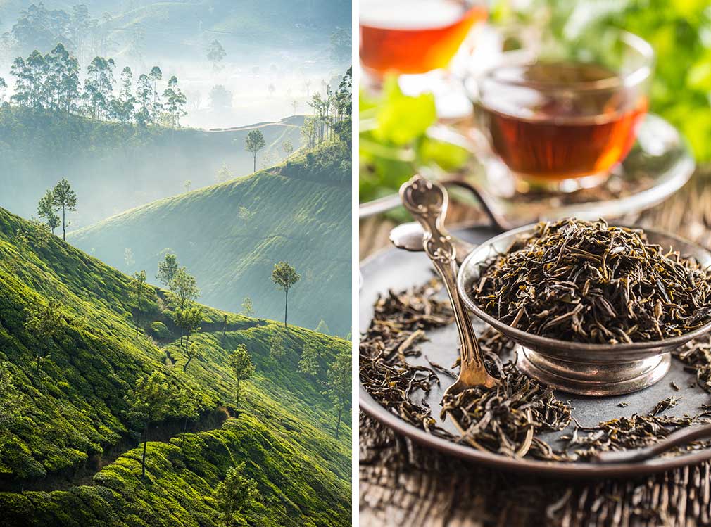 Ázsia, Top10 tea - OTP Travel Utazási Iroda