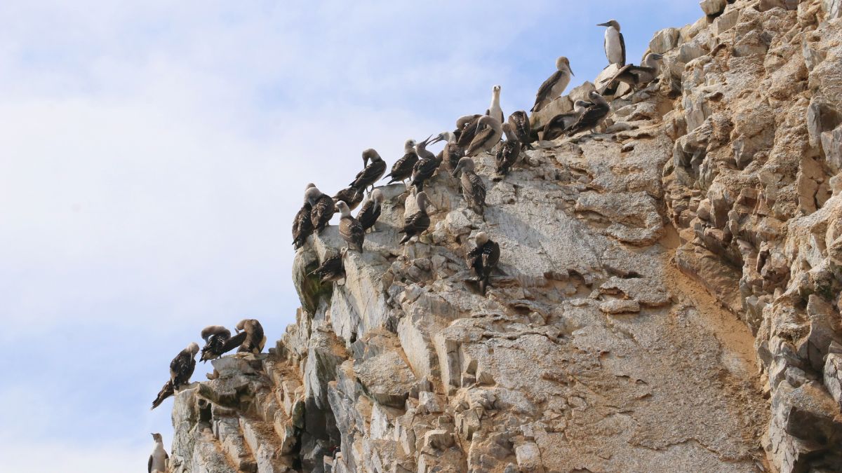 Perui tájakon – Az Andoktól az óceánokig