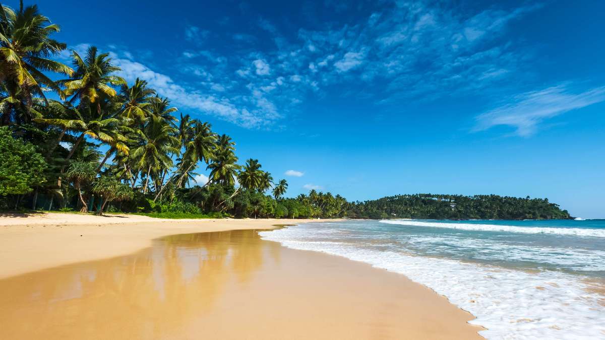 Körutazás Sri Lankán tengerparti pihenéssel - OTP Travel utazási iroda