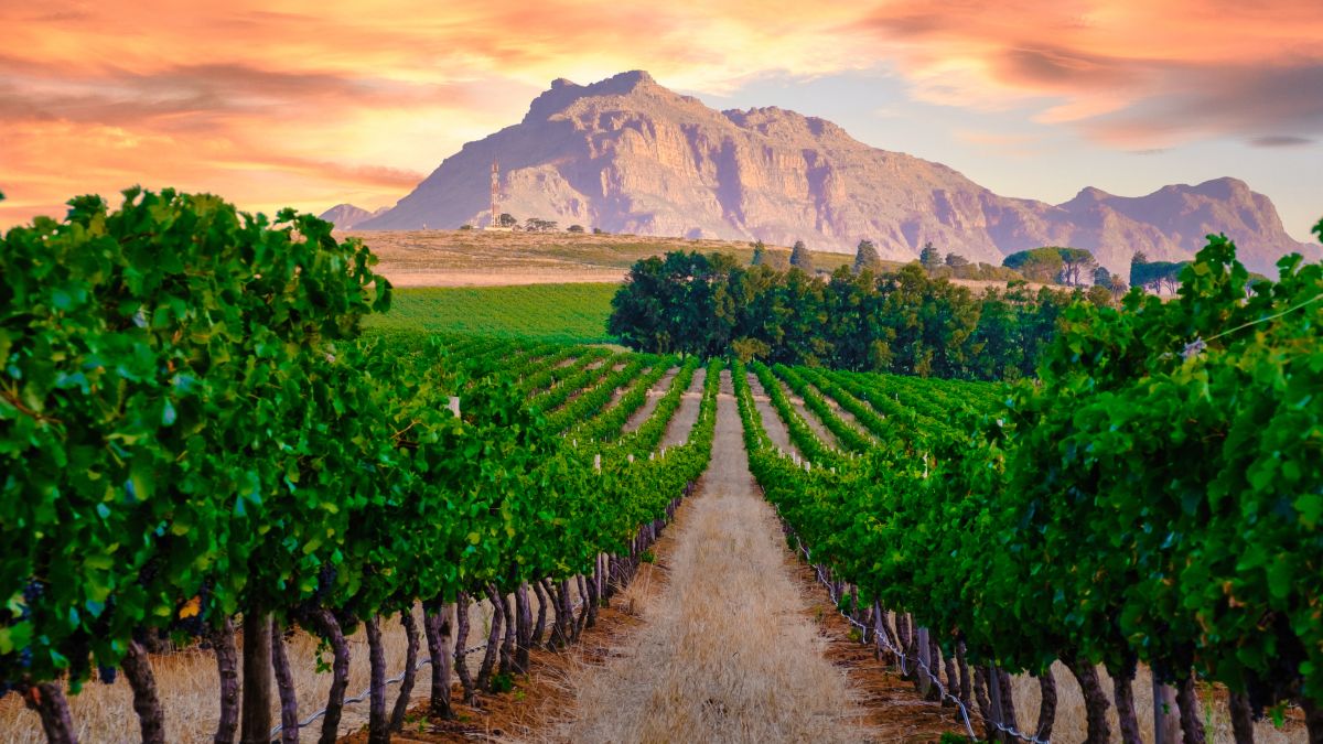 Dél-Afrika és Mozambik - OTP Travel utazási iroda